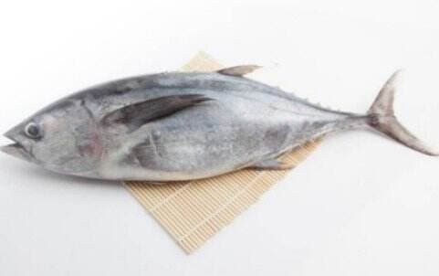 Berikut Daftar Ikan Aman Dikonsumsi Penderita Kolesterol dan Asam Urat