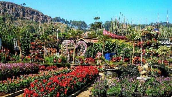 10 Destinasi Kebun Bunga di Indonesia 10 Destinasi Kebun Bunga di Indonesia