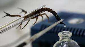 8 Racun Hewan Termahal dan Paling Mematikan di Dunia, Nomor 3 Harganya Setengah Triliun Rupiah 8 Racun Hewan Termahal dan Paling Mematikan di Dunia, Nomor 3 Harganya Setengah Triliun Rupiah