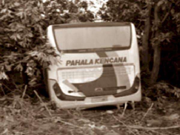 Kisah Bus Pahala Kencana yang Mendadak 'Pindah' ke Hutan Blora, Bukti Mesin Waktu Ada? Kisah Bus Pahala Kencana yang Mendadak 'Pindah' ke Hutan Blora, Bukti Mesin Waktu Ada?