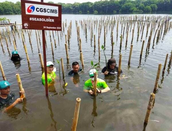 Tanam 5.000 Mangrove di Lima Wilayah, CGS-CIMB: Ayo Buat Satu Bumi Ini Lebih Hijau!