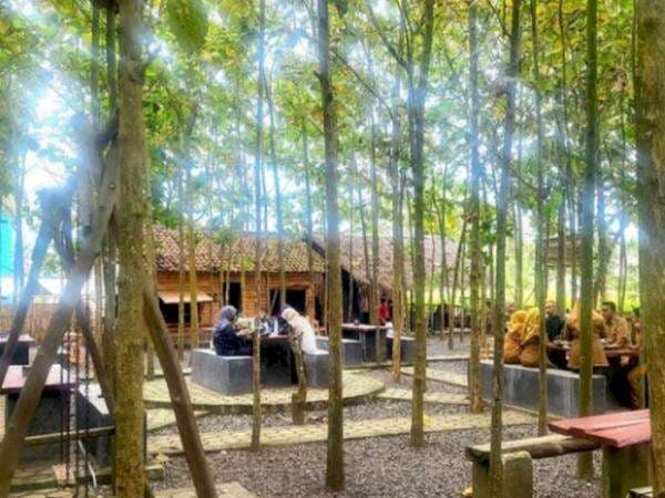 Adem Bener! Sensasi Wisata di Tengah Pohon Jati Cilegon Sambil Healing Adem Bener! Sensasi Wisata di Tengah Pohon Jati Cilegon Sambil Healing