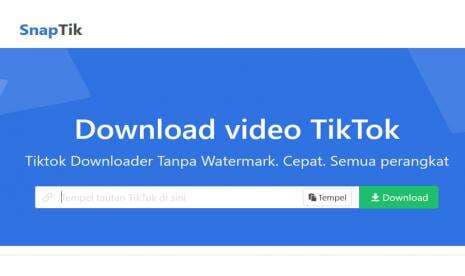 Download Video TikTok Tanpa Watermark 2022 di Snaptik App, Jadi Mp4, Tanpa Aplikasi