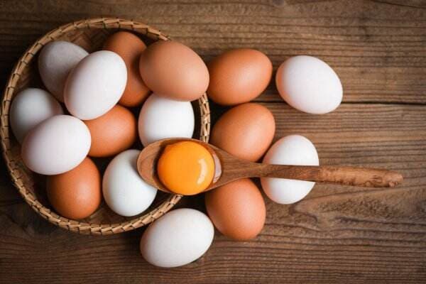 Kandungan Zat Gizi Telur Ayam yang Bermanfaat Untuk Kesehatan