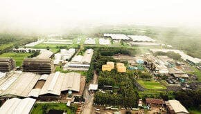 Anggarkan Rp210 Miliar, Pinago Utama Siap Bangun Pabrik Minyak Goreng