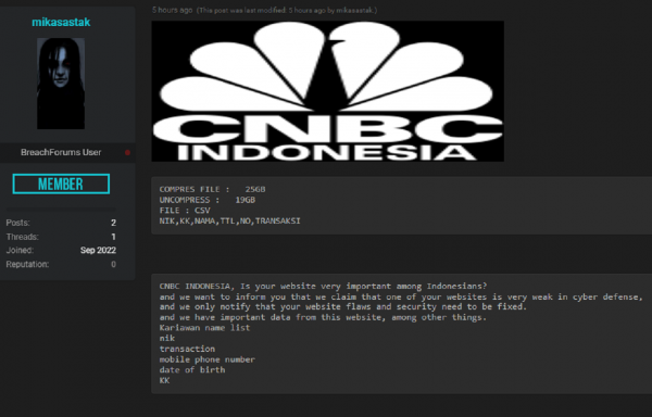 Hacker Jual Data Media CNBC Indonesia, Ahli IT Bingung dan Merasa Aneh