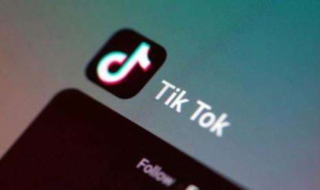 Download Video TikTok Tanpa Watermark dan Tanpa Aplikasi di Snaptik App