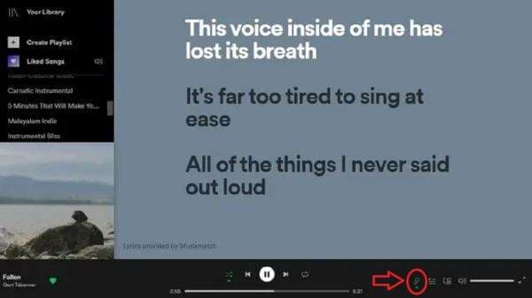 Cara Melihat Lirik di Spotify Melalui Laptop, HP dan Tablet Cara Melihat Lirik di Spotify Melalui Laptop, HP dan Tablet