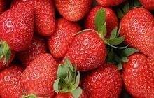 Mengenal Trypophobia, Fobia terhadap Lubang Plus Penyebab serta Cara Menanganinya Mengenal Trypophobia, Fobia terhadap Lubang Plus Penyebab serta Cara Menanganinya