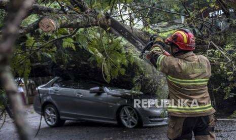 Akibat Hujan Deras Pohon Tumbang dan Timpa Mobil di Bandung