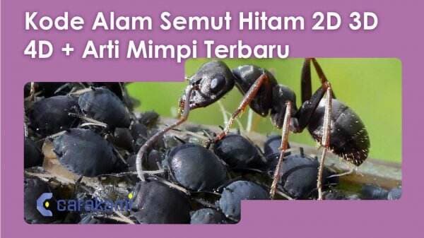 10+ Kode Alam Semut Hitam 2D 3D 4D + Arti Mimpi Terbaru 10+ Kode Alam Semut Hitam 2D 3D 4D + Arti Mimpi Terbaru