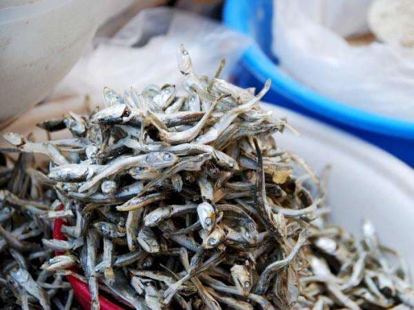 10 Sumber Makanan yang Mengandung Kalsium Tinggi selain Susu 10 Sumber Makanan yang Mengandung Kalsium Tinggi selain Susu