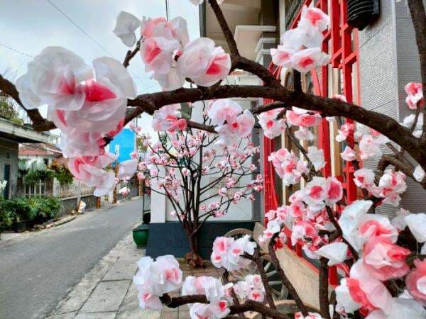 Menakjubkan! Enggak Hanya di Jepang, Kampung Sakura Ternyata Juga Ada di Kota Batu Menakjubkan! Enggak Hanya di Jepang, Kampung Sakura Ternyata Juga Ada di Kota Batu