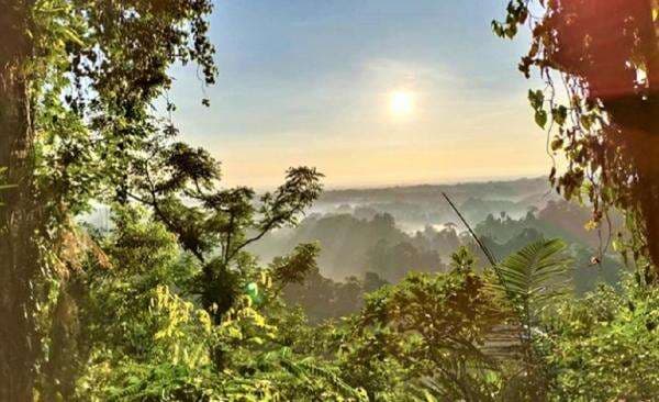 Serunya Berpetualang di Cagar Alam Sibolangit Serunya Berpetualang di Cagar Alam Sibolangit