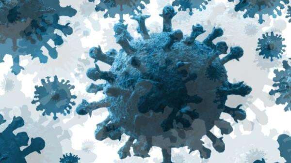 Ciri Gejala Covid Varian Baru, Omicron XBB Yang Mulai Terdeteksi di Indonesia Ciri Gejala Covid Varian Baru, Omicron XBB Yang Mulai Terdeteksi di Indonesia