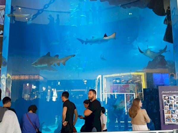 Wow! Mal Terbesar di Dunia Ini Luasnya 200 Kali Lapangan Sepak Bola, Ada Kebun Binatangnya Wow! Mal Terbesar di Dunia Ini Luasnya 200 Kali Lapangan Sepak Bola, Ada Kebun Binatangnya