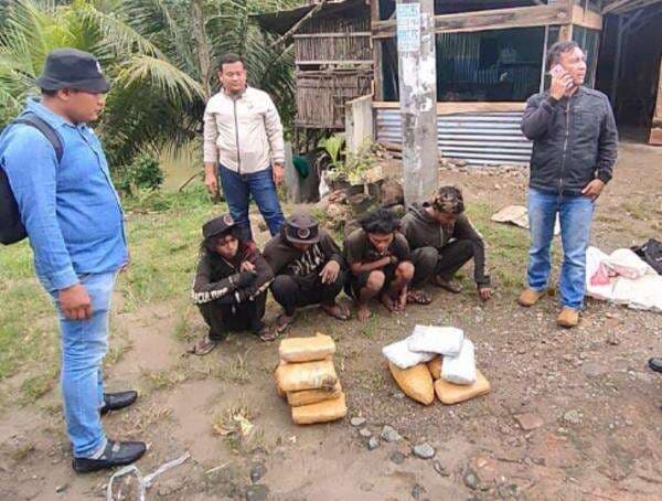 Polisi di Sumut Ringkus Anak Punk Gegara Jual Ganja Polisi di Sumut Ringkus Anak Punk Gegara Jual Ganja