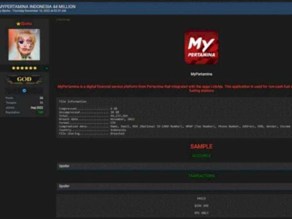 Bjorka Kembali Berulah, 44 Juta Data MyPertamina Bocor, Apa Kata Pakar Keamanan Siber? Bjorka Kembali Berulah, 44 Juta Data MyPertamina Bocor, Apa Kata Pakar Keamanan Siber?