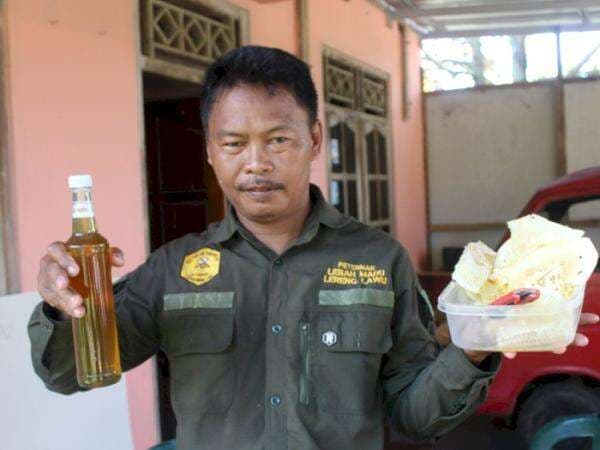 Awalnya Tertipu Madu Palsu, Pria Ini Sukses Raup Cuan dari Produksi Madu Sendiri Awalnya Tertipu Madu Palsu, Pria Ini Sukses Raup Cuan dari Produksi Madu Sendiri