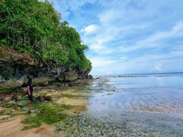 Pantai Moli'i Sahatu, Punya Air Tawar Bisa Diminum Salah Satu yang Terindah di Wakatobi Pantai Moli'i Sahatu, Punya Air Tawar Bisa Diminum Salah Satu yang Terindah di Wakatobi