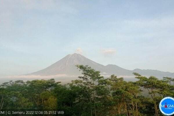 Gunung Semeru Erupsi Lagi Pagi Ini, PVMBG: Tinggi Kolom Letusan Capai 300 Meter