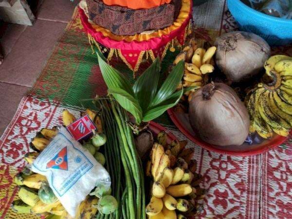 Mengenal Prosesi Lamaran di Solok Selatan, Pihak Laki-Laki Wajib Bawa Kelapa, Kenapa? Mengenal Prosesi Lamaran di Solok Selatan, Pihak Laki-Laki Wajib Bawa Kelapa, Kenapa?
