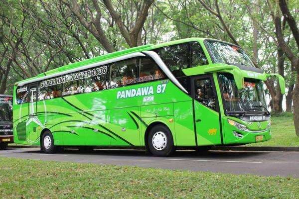 Bingung Pilih Bus Perjalanan Jauh, Coba Cek Harga Tiket Bus Pandawa 87 Sleeper Bingung Pilih Bus Perjalanan Jauh, Coba Cek Harga Tiket Bus Pandawa 87 Sleeper