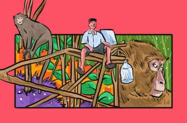 Suara Hati Petani di Gunungkidul karena Monyet yang Marah Kena JJLS Suara Hati Petani di Gunungkidul karena Monyet yang Marah Kena JJLS