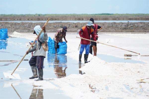 PT Garam Raup Pendapatan Rp 333,55 Miliar pada 2022 PT Garam Raup Pendapatan Rp 333,55 Miliar pada 2022