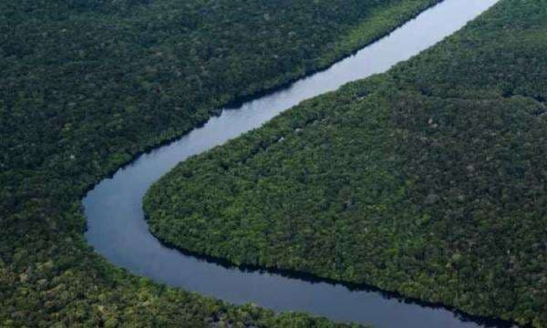 AS Desak Hutan Amazon Dilindungi Cegah Kenaikan Suhu Bumi AS Desak Hutan Amazon Dilindungi Cegah Kenaikan Suhu Bumi