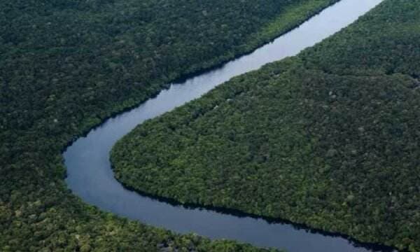 AS Desak Hutan Amazon Dilindungi Cegah Kenaikan Suhu Bumi