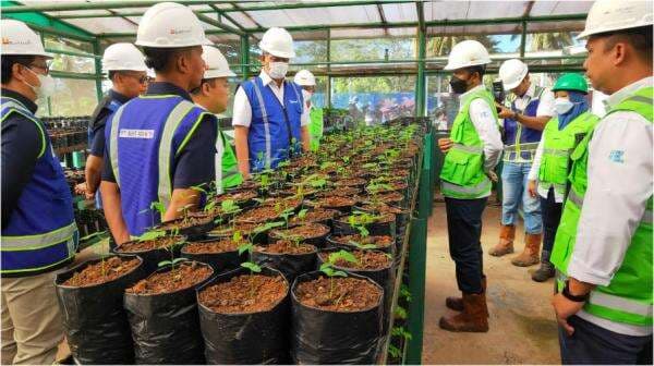 Dukung Rehabilitasi DAS dan Pariwisata, PTBA Perluas Pusat Persemaian Dukung Rehabilitasi DAS dan Pariwisata, PTBA Perluas Pusat Persemaian