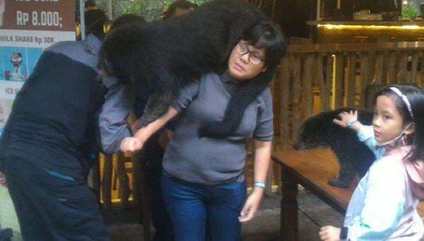 Kebun Binatang Bandung Hadirkan Fasilitas Anyar Sambut Lebaran 2023 Kebun Binatang Bandung Hadirkan Fasilitas Anyar Sambut Lebaran 2023