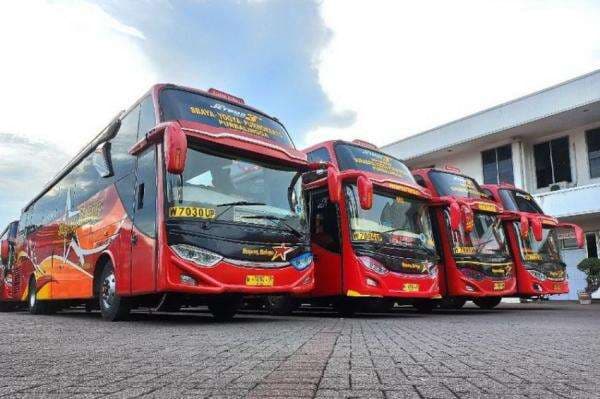 Lumba-lumba Darat, PO Sugeng Rahayu Rilis Empat Bus Baru Lumba-lumba Darat, PO Sugeng Rahayu Rilis Empat Bus Baru
