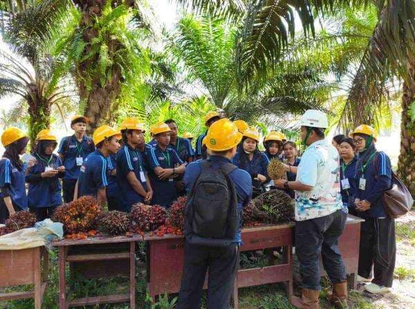 PERKASA dari TAP untuk Negeri Dorong Petani Sukamara Tingkatkan Kapasitas PERKASA dari TAP untuk Negeri Dorong Petani Sukamara Tingkatkan Kapasitas