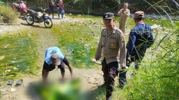 Pemotor Tewas Tertimpa Rengkek Singkong Usai Jatuh di Sungai Bubulan Bojonegoro Pemotor Tewas Tertimpa Rengkek Singkong Usai Jatuh di Sungai Bubulan Bojonegoro