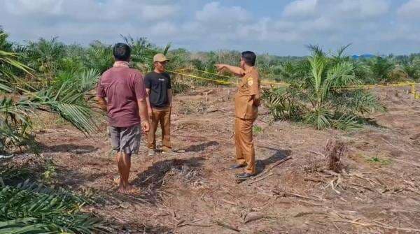 Warga Geger! Wanita Cantik Dibunuh dan Jasadnya Dikubur Setengah Badan Warga Geger! Wanita Cantik Dibunuh dan Jasadnya Dikubur Setengah Badan