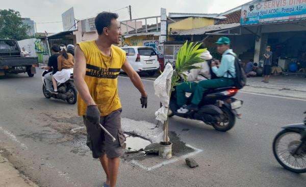 Ngeri! Jalan Rusak di Tangsel Picu Kecelakaan, Warga Pasang Pohon di Tengah Aspal Ngeri! Jalan Rusak di Tangsel Picu Kecelakaan, Warga Pasang Pohon di Tengah Aspal