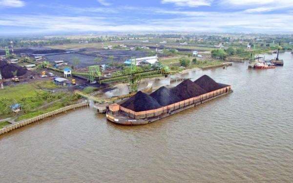 Saham TEBE Bergerak di Bidang Apa? Ini Profil Usaha dan Info Kepemilikannya Saham TEBE Bergerak di Bidang Apa? Ini Profil Usaha dan Info Kepemilikannya