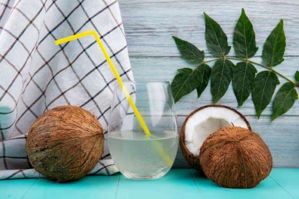 Bolehkan Minum Air Kelapa Setiap Hari? Bolehkan Minum Air Kelapa Setiap Hari?