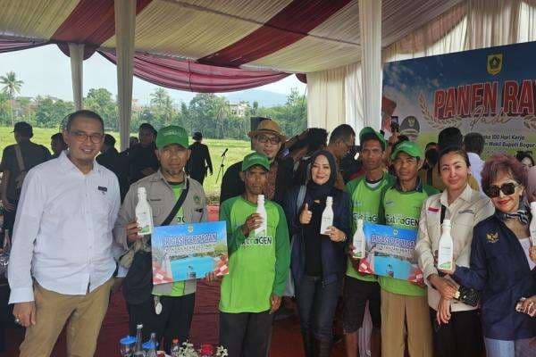 100 Hari Kerja, Bupati Bogor Panen Raya Padi Varietas Unggul 100 Hari Kerja, Bupati Bogor Panen Raya Padi Varietas Unggul