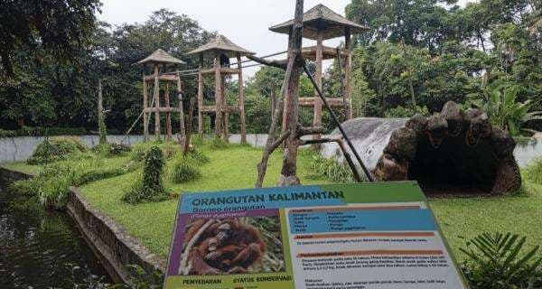 Tinjau Wisata Ragunan, Pramono Minta Ticketing hingga Kantong Parkir Diperbaiki Tinjau Wisata Ragunan, Pramono Minta Ticketing hingga Kantong Parkir Diperbaiki