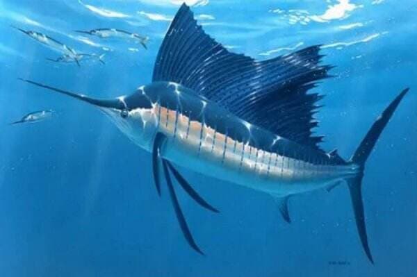 11 Ikan Tercepat di Dunia, Ada yang Mampu Berenang 128 Km per Jam
