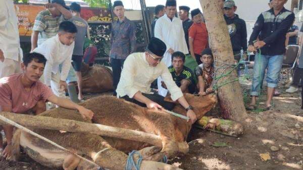 Kapolres Gowa Rayakan Idul Adha, 67 Ekor Sapi dan 1 Kambing Disembelih untuk Masyarakat Kapolres Gowa Rayakan Idul Adha, 67 Ekor Sapi dan 1 Kambing Disembelih untuk Masyarakat