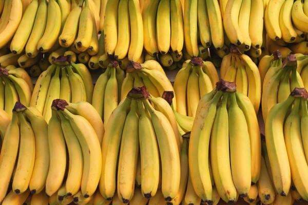 12 Jenis Pisang Terbaik di Dunia, Nomor 4 dari Indonesia 12 Jenis Pisang Terbaik di Dunia, Nomor 4 dari Indonesia
