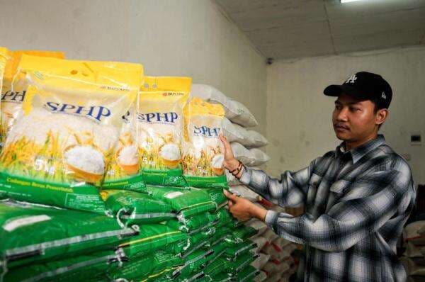 1,3 Juta Ton Beras SPHP Resmi Disalurkan, Berikut Harganya di Tiap Wilayah 1,3 Juta Ton Beras SPHP Resmi Disalurkan, Berikut Harganya di Tiap Wilayah