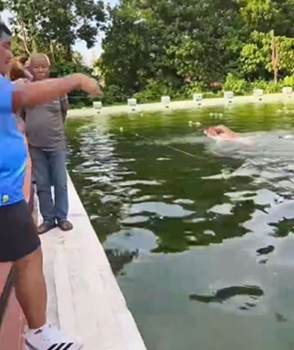 Viral! Kolam Renang Tak Ganti Air Sejak 1999, Ini Bahayanya bagi Tubuh Viral! Kolam Renang Tak Ganti Air Sejak 1999, Ini Bahayanya bagi Tubuh