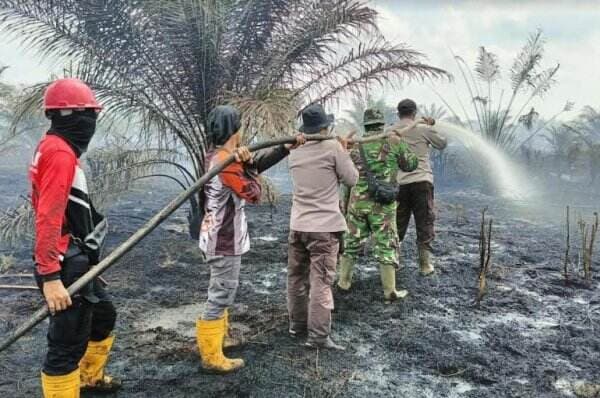 15 Hektare Lahan dan Kebun Sawit di Bengkalis Terbakar