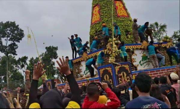 Andum Apukat Sambirejo Meriah, Warga Jombang Berebut 2025 Kg Buah Alpukat Andum Apukat Sambirejo Meriah, Warga Jombang Berebut 2025 Kg Buah Alpukat