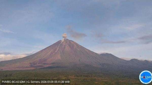 Gunung Semeru 8 Kali Erupsi hingga Pagi Ini, PVMBG: Waspada Awan Panas Gunung Semeru 8 Kali Erupsi hingga Pagi Ini, PVMBG: Waspada Awan Panas